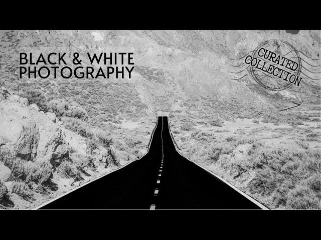 Black and White Photography | Curated Collection 1