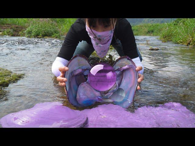  The girl accidentally discovered a purple clam, with pearls shining like gemstones inside