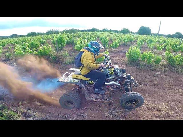 Banshee 350 Compilation | Best Moments 2020 SCREAMING 2 STROKES