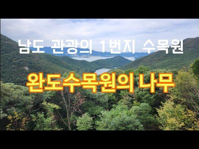 난대림 나무 3/4편 - 10월 완도수목원의 나무 16종류 해설