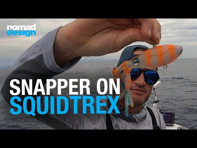 How to catch deep water SNAPPER on SQUIDTREX Vibes - Nomad Design