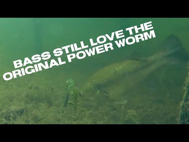 Bass Still Love The Original Power Worm #shorts