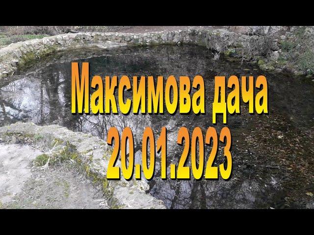 Максимова дача 20 января 2023