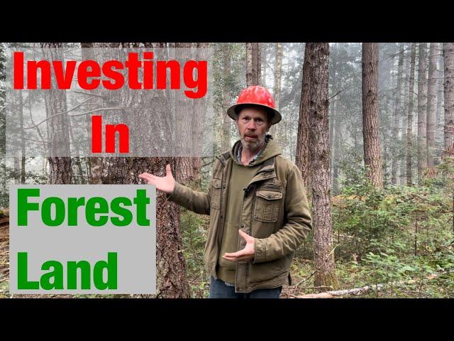 Why I Like Investing in Forest Land. Bare Land and Timber