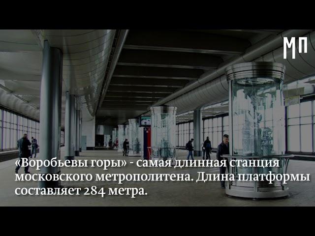 Факты о метро - Московская Перспектива