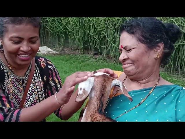 SAMARTHA KRUPA FARM TOUR PART 3 with YoMeet