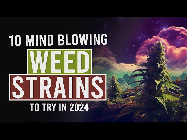 10 MUST TRY Cannabis Strains for 2024!