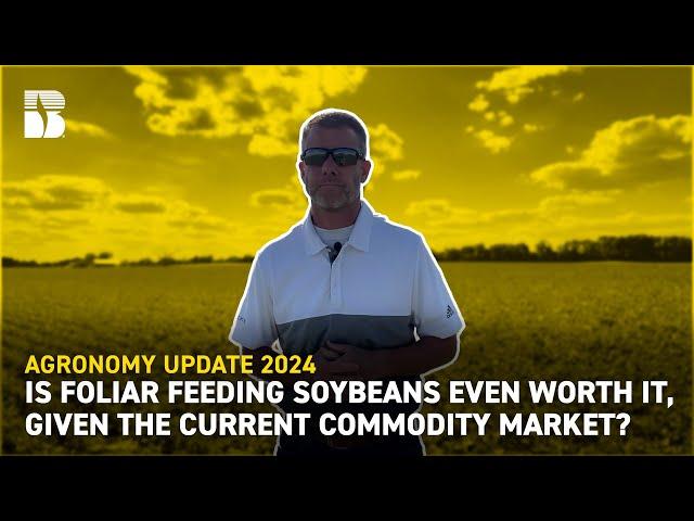 Is Foliar Feeding Soybeans Worth It, Given The Current Commodity Market? | Beck's Agronomy Update