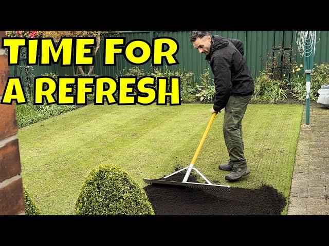 Need To REVITALISE Your LAWN This Spring? Here's How you do it.