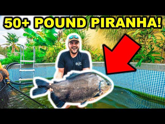 Catching a 50lb+ PIRANHA with My BARE HANDS!!! (ft. Catch Em All Fishing)