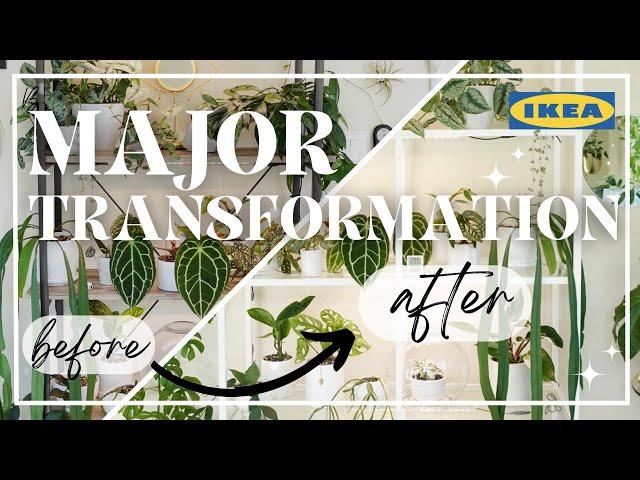 THIS Made SUCH A Difference | IKEA VITTSJÖ Build + Plant Shelf Setup | Houseplant Collection Care 