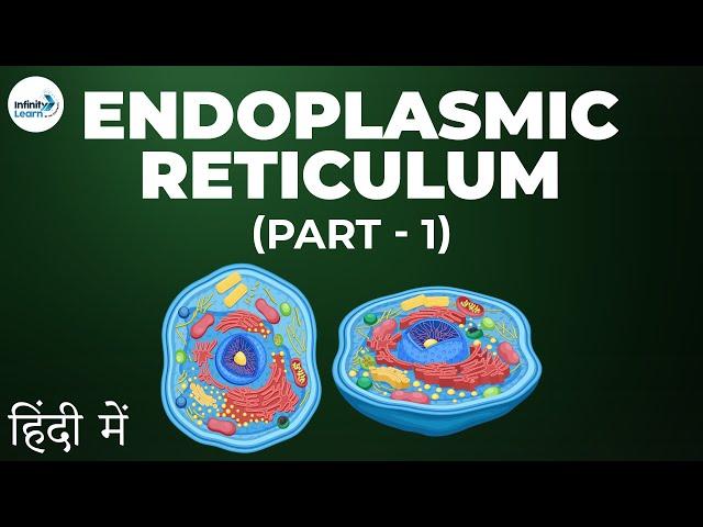 Cells - Lesson 08 | Endoplasmic Reticulum - Part 1 in Hindi (हिंदी में ) | Infinity Learn