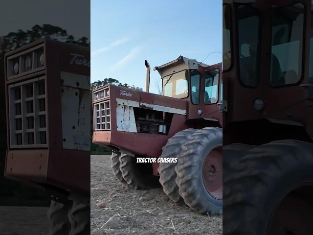 International Harvester 4366 disking #tractorvideo #farmequipmentinaction