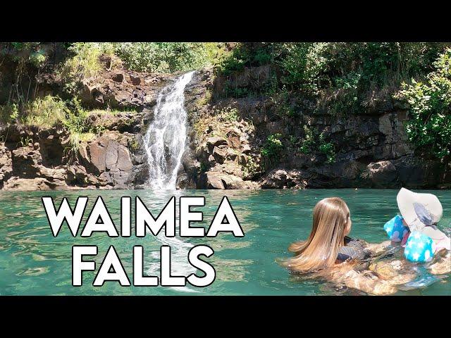 Waimea Falls and Botanical Garden | Hawaii Waterfalls