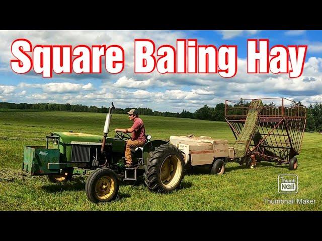 Square Baling 2nd Crop Hay/Milking Cows