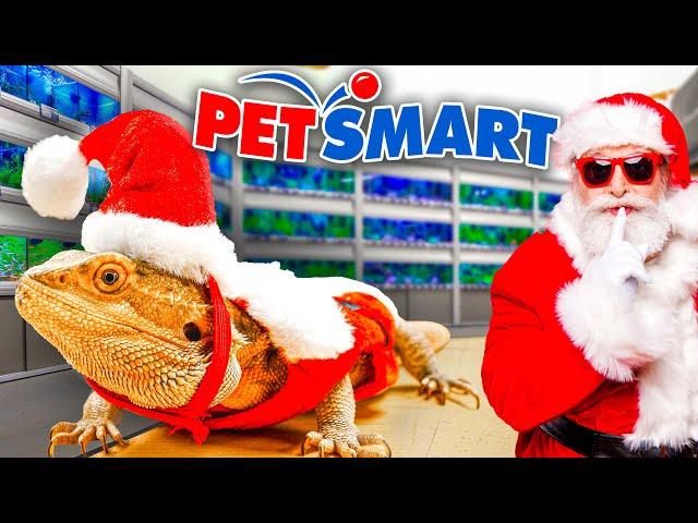 PetSmart Secret Santa: Reptile Edition!