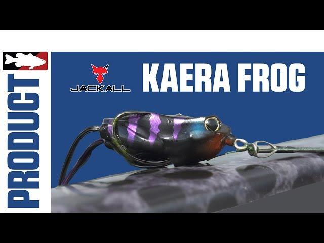 Jared Lintner and Alex Davis Discuss the Jackall Kaera Frog