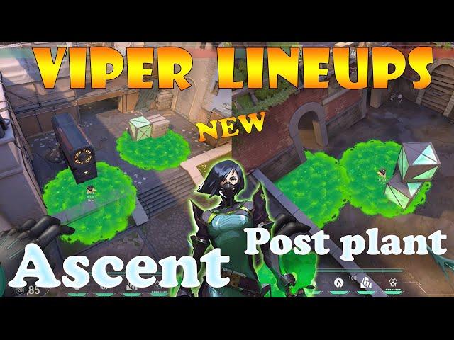 Top 15 New Ascent Viper Post Plant Lineups | Viper Lineups Ascent | Viper Guide Ascent |