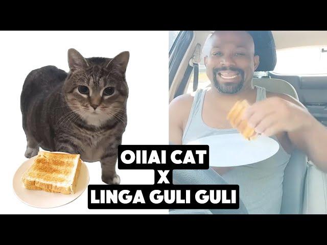 OIIA Cat X Linga guli guli guli Don Pollo