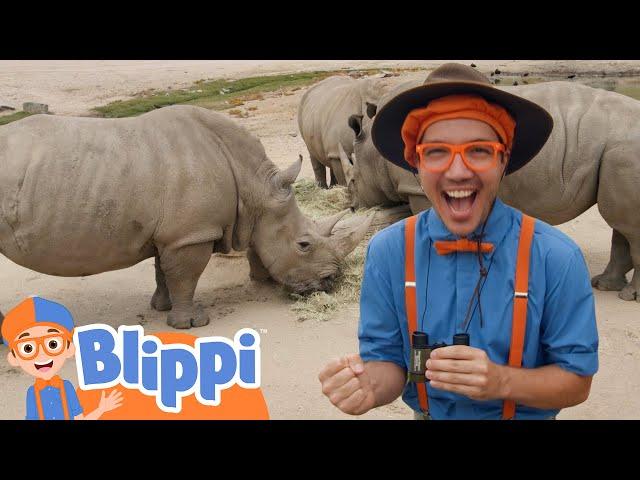 Blippi Explores a Safari Park | Learn About Animals For Kids | Educational Videos for Toddlers