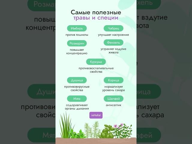 Обязательно включите в рацион #травы #фитотерапия