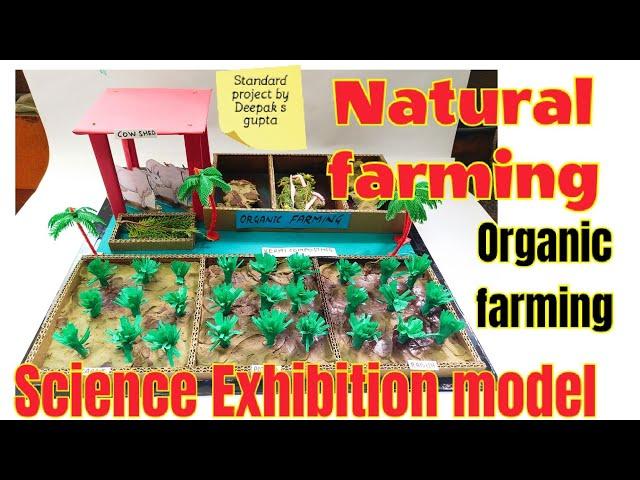 Natural farming /organic farming best model #naturalfarming #naturalfarmingmadeeasy #organicfarming