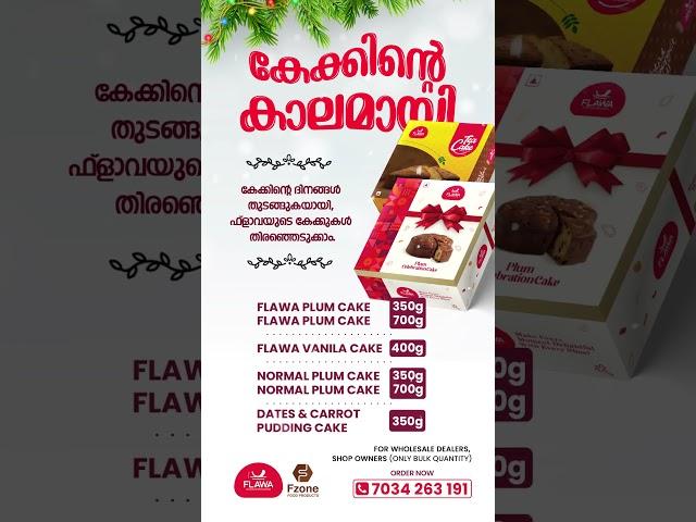 Flawa Christmas cake | F zone Food Products | F zone world projects