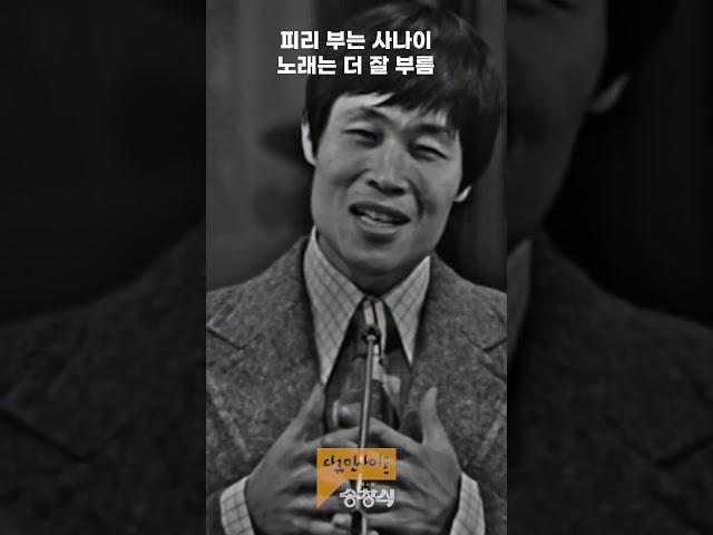 1975년 송창식 라이브 | 다큐인사이트 - 마스터 송창식 | KBS 20240704 방송