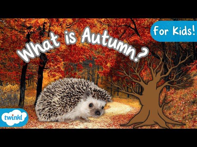 What is Autumn? | Signs of Autumn for Kids 