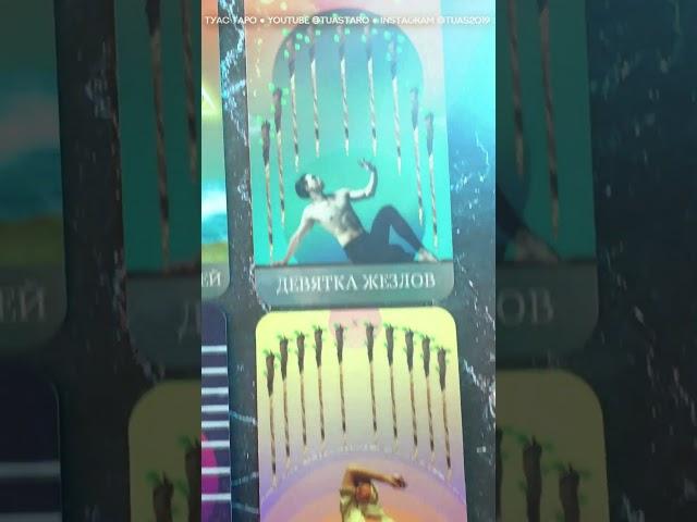 Быстрое знакомство с колодой таро loone de loone #туастаро #колодытаро