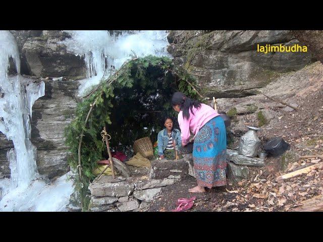 cooking green vegetable in the calm environment || lajimbudha ||