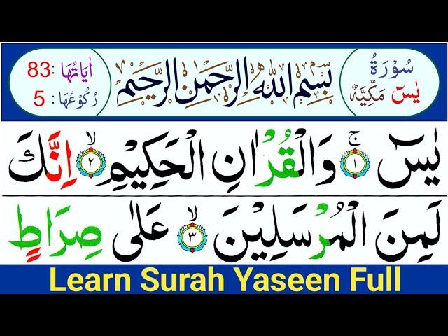 Learn Surah Yasin Full word by word | Surah Yaseen Repeated | How To Recite Quran