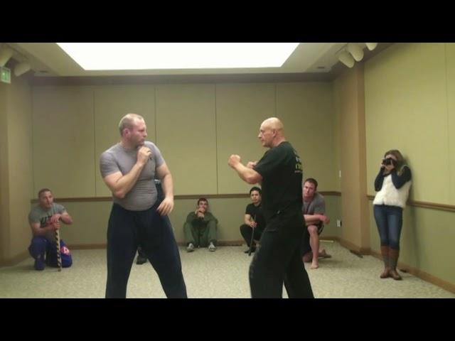 Systema Spetsnaz  los Andgeles Real Self Defense Vadim Starov Strikes & Punches & Kicks