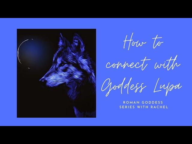 How to Connect with She- Wolf Goddess Lupa