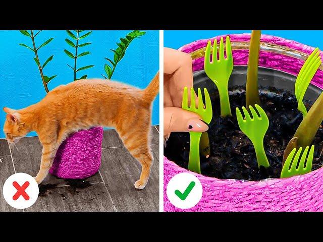 Useful Hacks and DIY Crafts for Cat Lovers