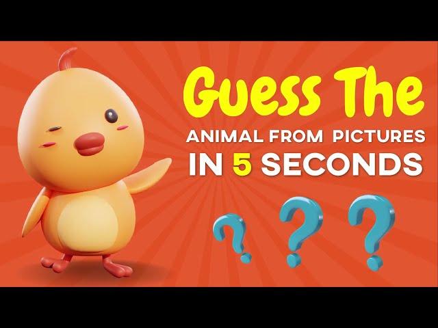 Guess the Animal, Bird or Insect | Fun Wildlife Quiz for Kids