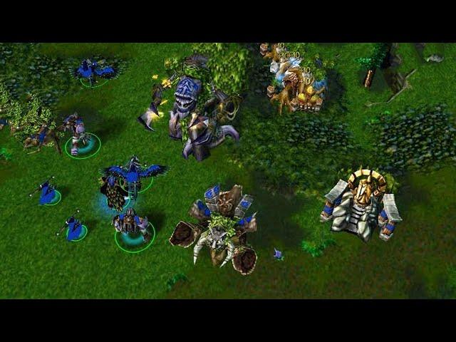 Warcraft 3 Reign of Chaos - Gameplay (PC/HD)