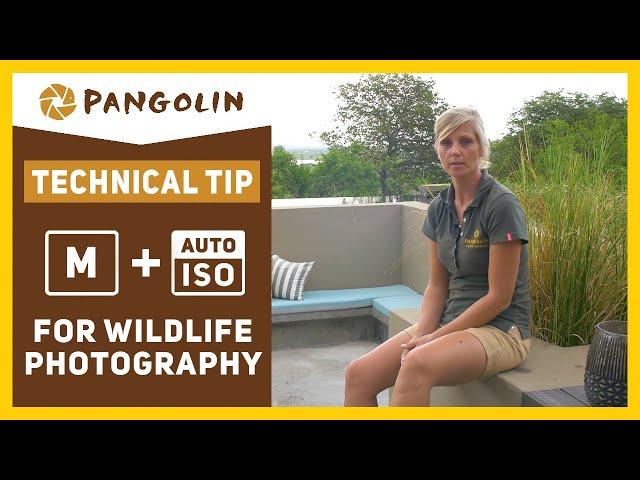 MANUAL MODE With AUTO ISO - A Game Changer for Wildlife  and Nature Photographers