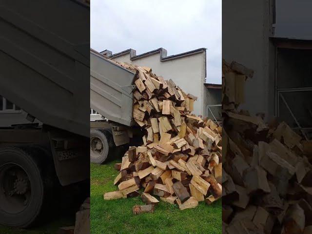 Сколько стоит 1 куб дрова в Закарпатье.