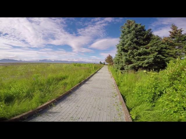 Alaska Islands And Ocean Visitor Center (Trail to Bishops Beach )