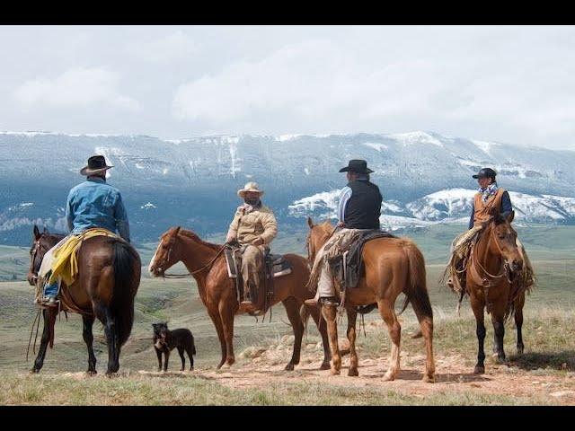 Montana Cattle Drive at Dryhead Ranch