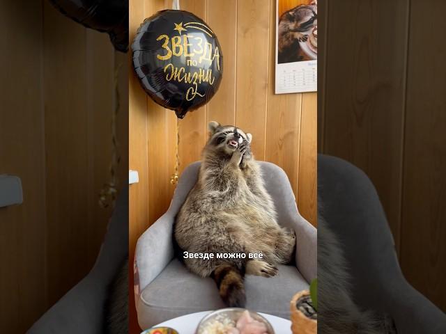 ЕНОТ ТЁМА РАСПАКОВЫВАЕТ ПОДАРКИ НА ДЕНЬ РОЖДЕНИЯ: день2 /TEMA'S RACCOON UNPACKS BIRTHDAY GIFTS: day2