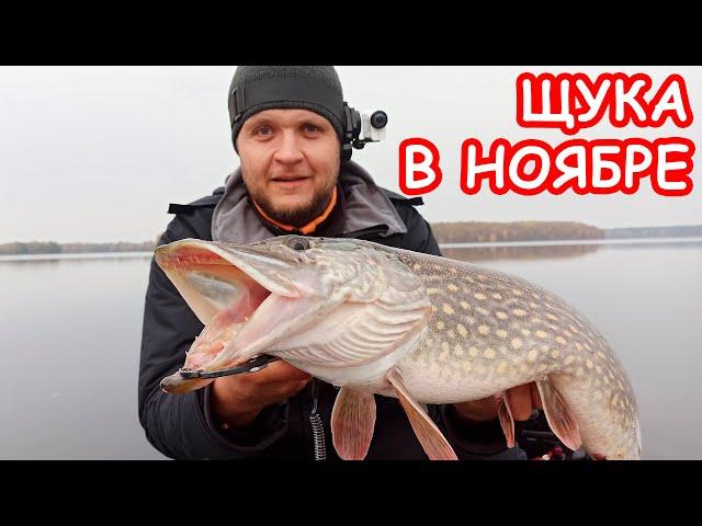 ЩУКА ПОЗДНЕЙ ОСЕНЬЮ. ДЖИГ. БЛЕСНА. РЫБАЛКА НА СПИННИНГ