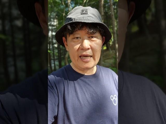 (공지) 정치논객 채널 오픈 했습니다! @금가루망치