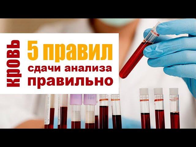 Сдаем биохимический анализ крови без ошибок. 5 правил подготовки