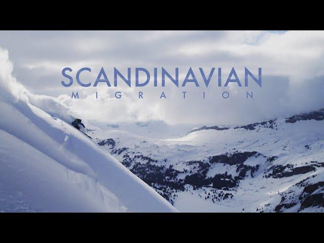 Scandinavian Migration | Salomon TV