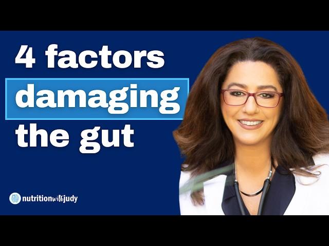 4 Main Factors that Damage the Gut and What to Do. Challenging Status Quo – Dr. Sabine Hazan