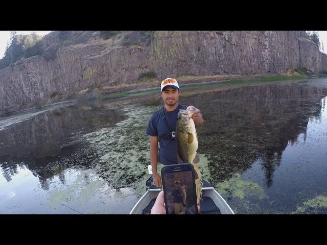 The frog bite is HOT in Washington State! (Bonnie Lake, WA)