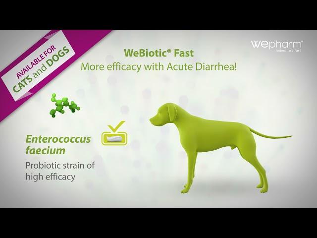 Wepharm | WeBiotic FAST