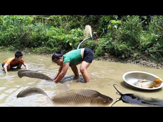 Girl and boy drain pond to harvest big fish for a living